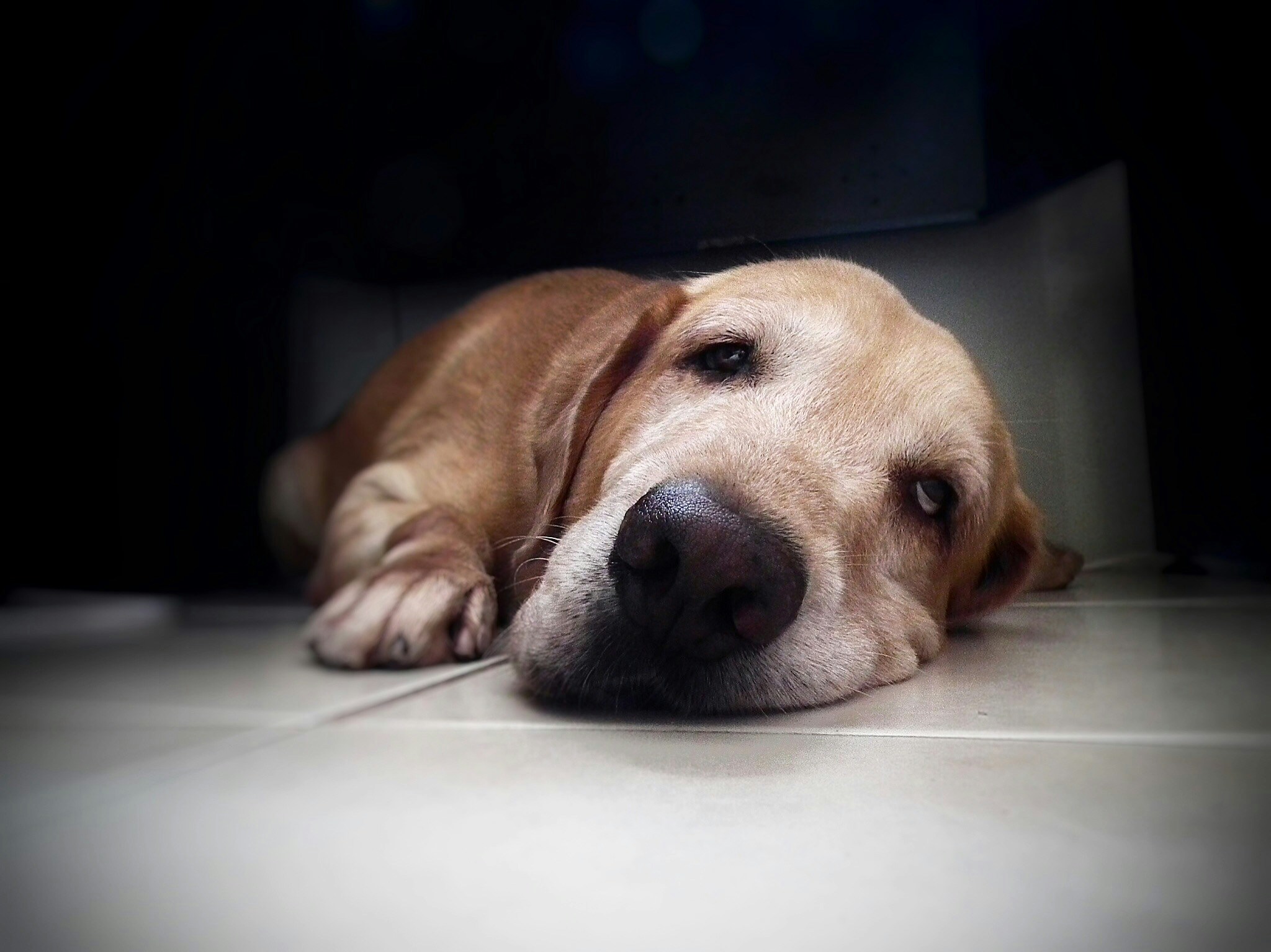 Go to Jonathan Moreira's profile