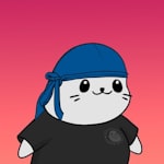 Avatar of user Sargent Seal