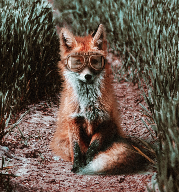 Avatar von Benutzer Cook aynne