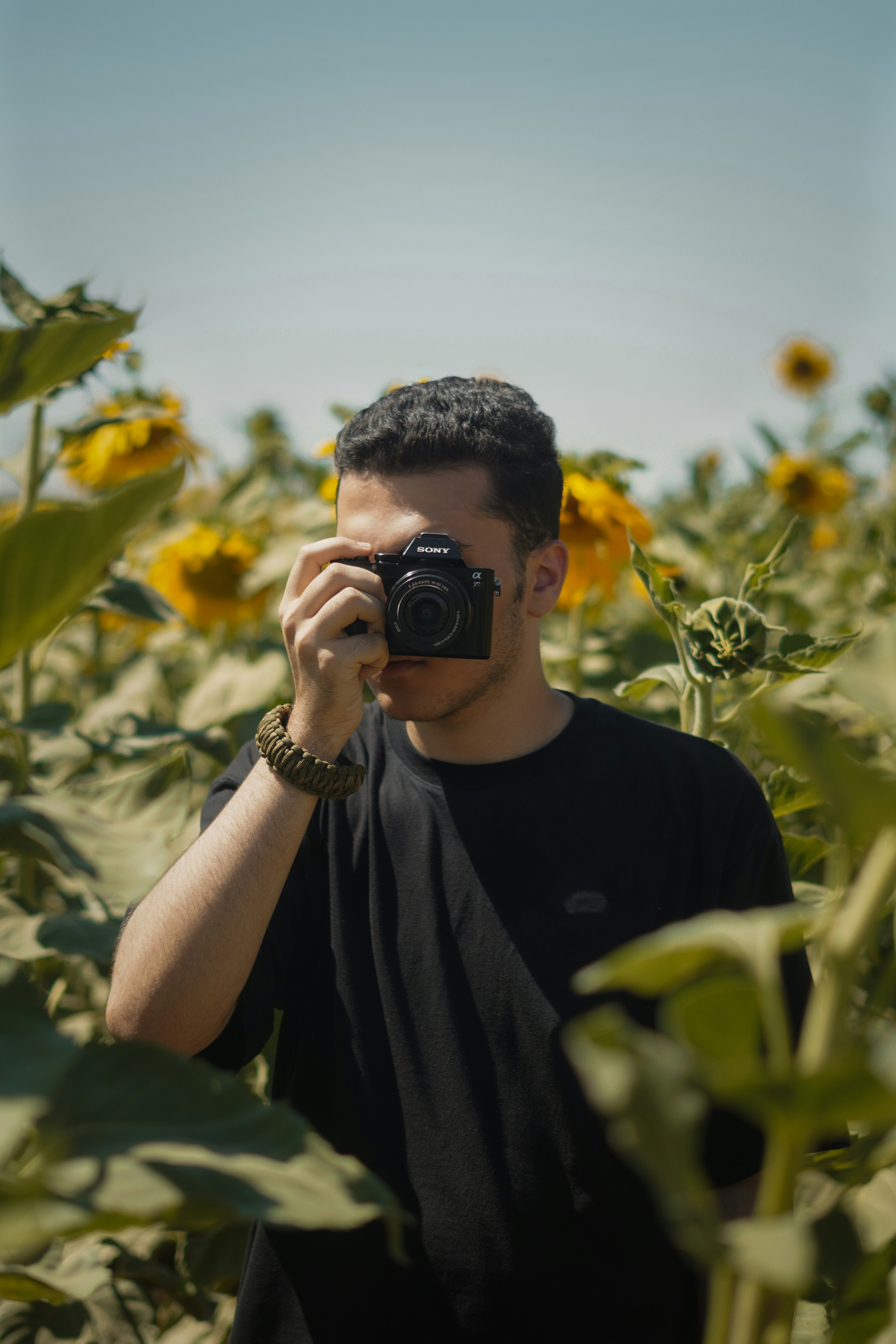 Go to Mahdi Moghaddas's profile