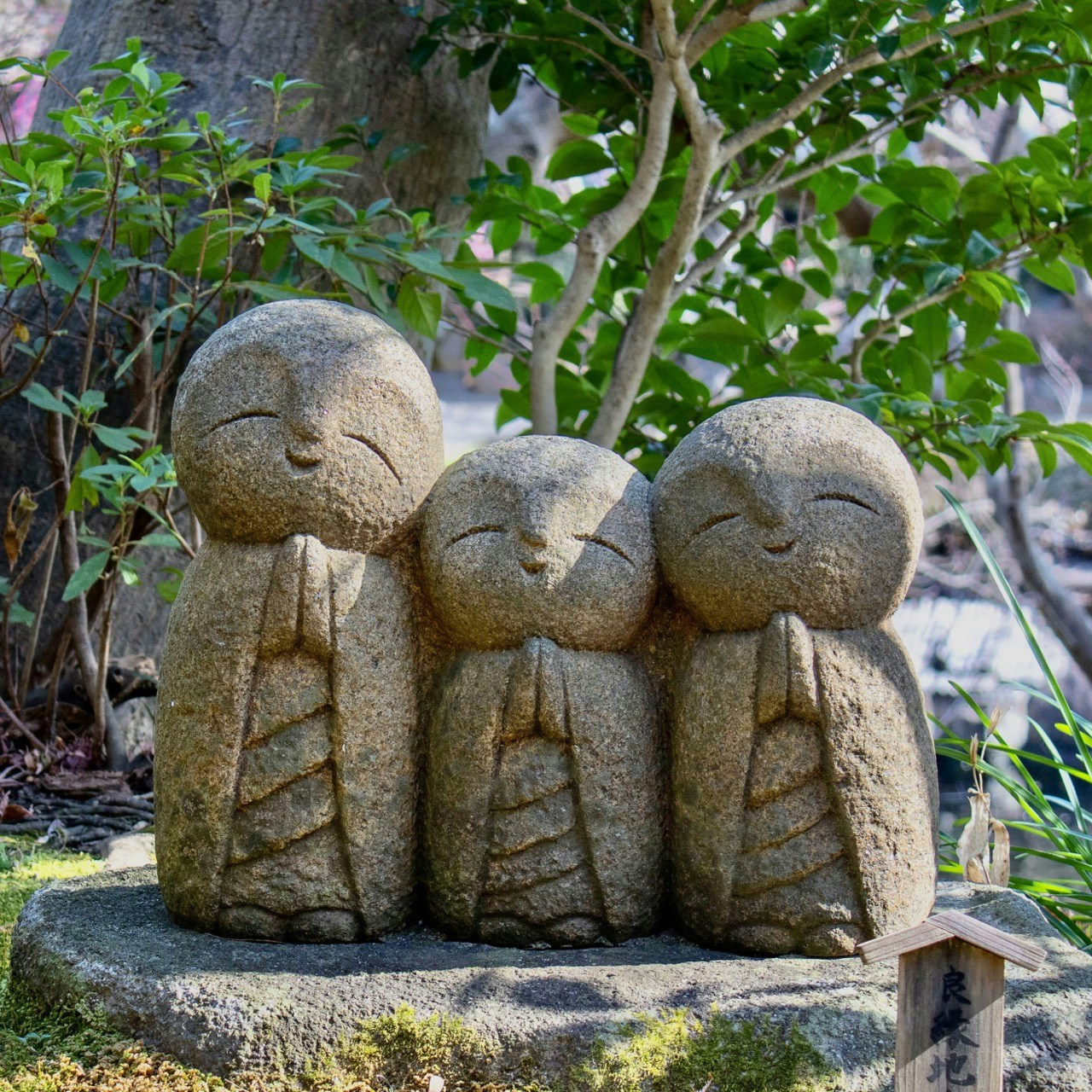 Go to Mingfang's profile