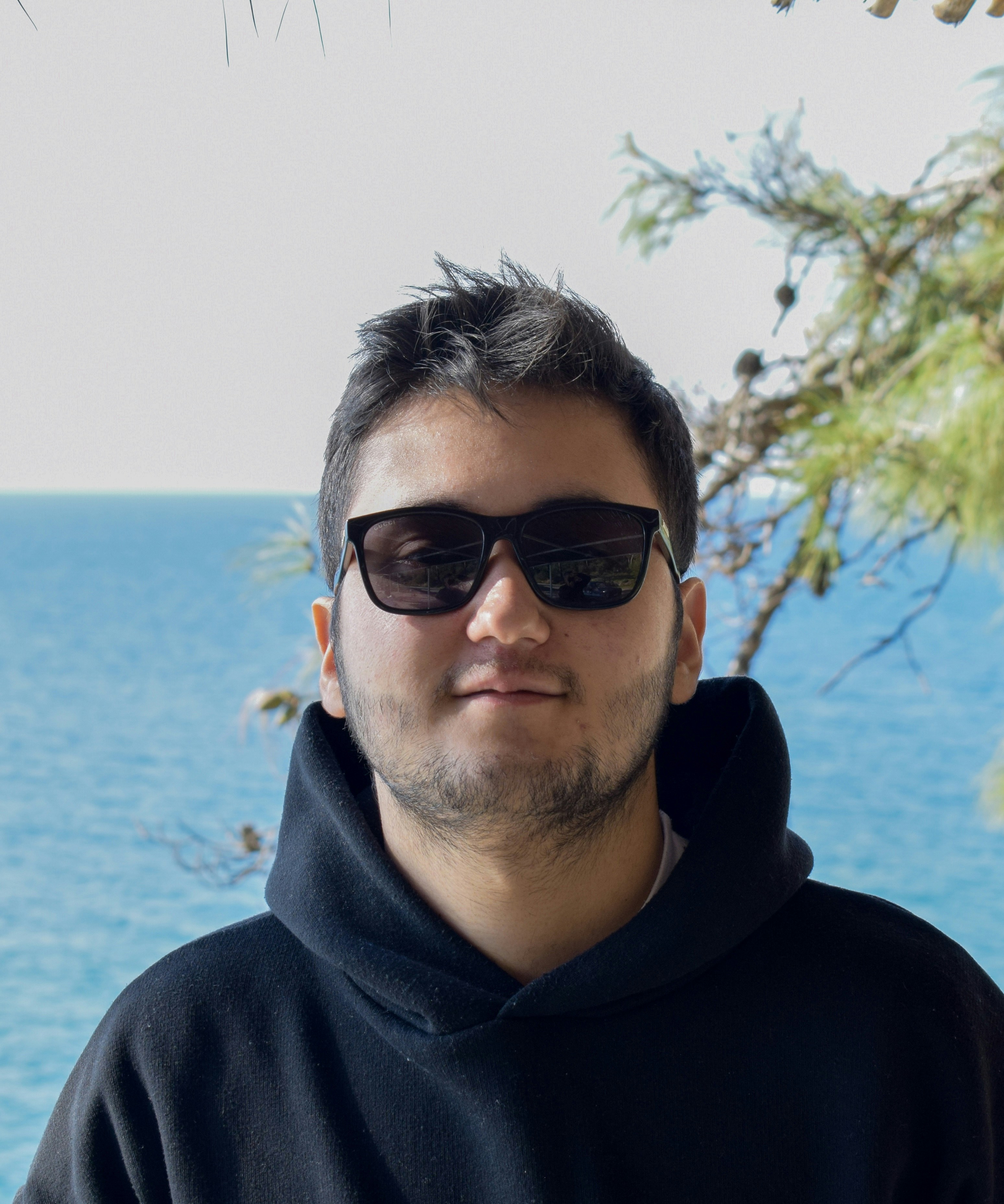 Go to Emre Karayer's profile