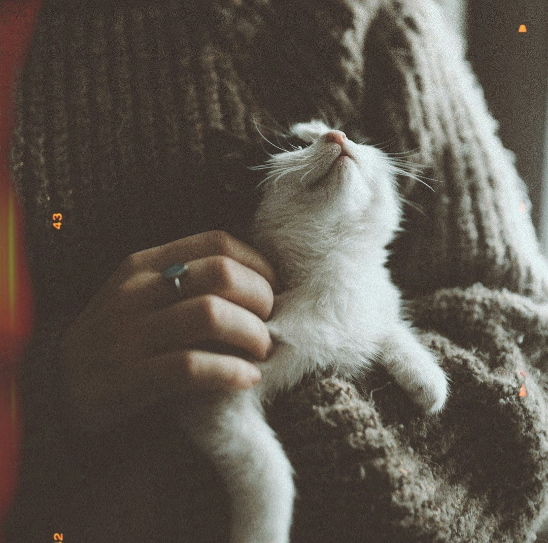 Go to Burcu's profile