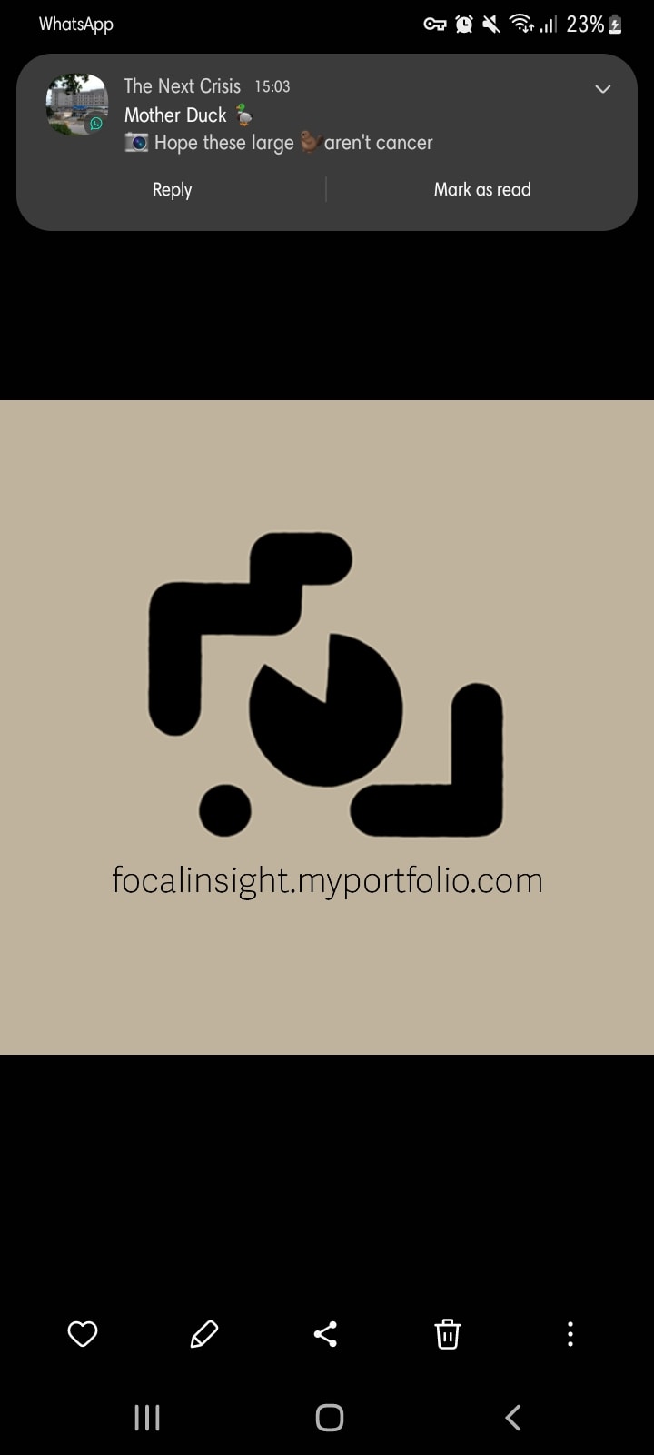 Go to focal insight photography's profile