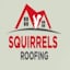 Avatar of user Squirrels Roofing