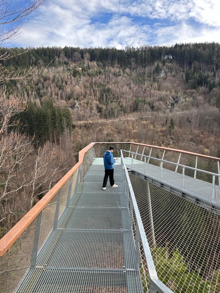 Ve al perfil de Louis Brändlin