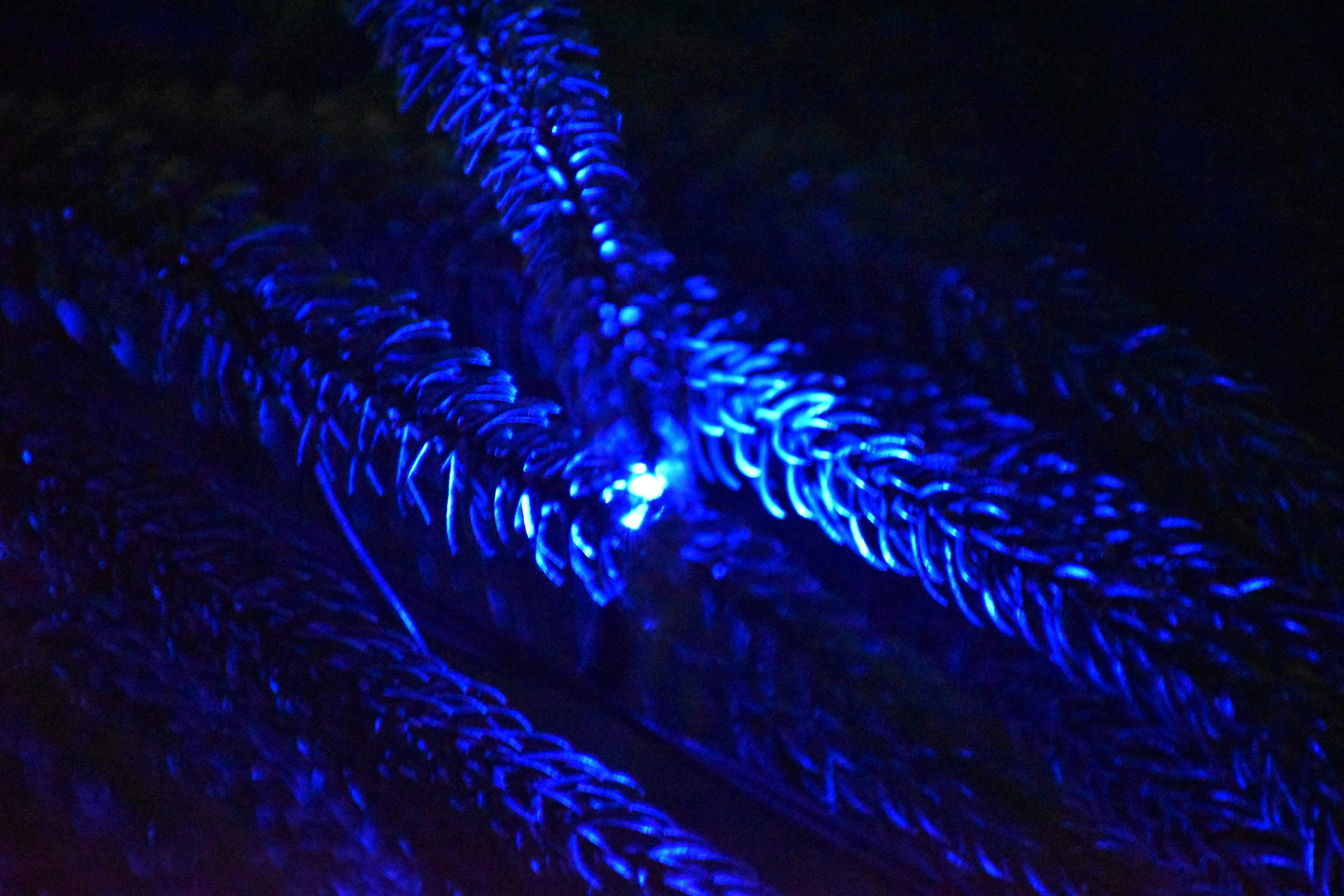 Ve al perfil de Shourjodeep Ghosh