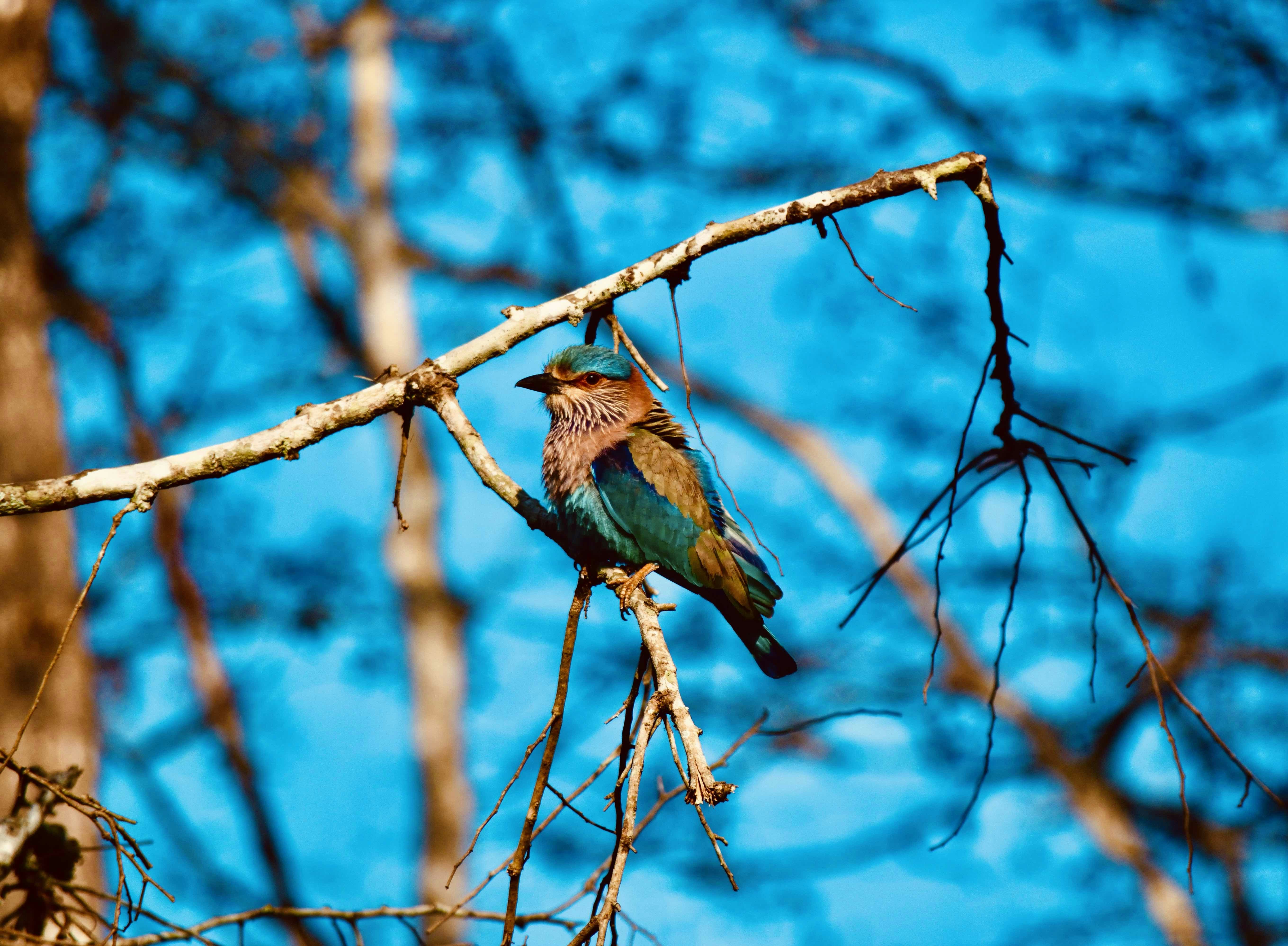 Go to Vivek K Kaushik's profile