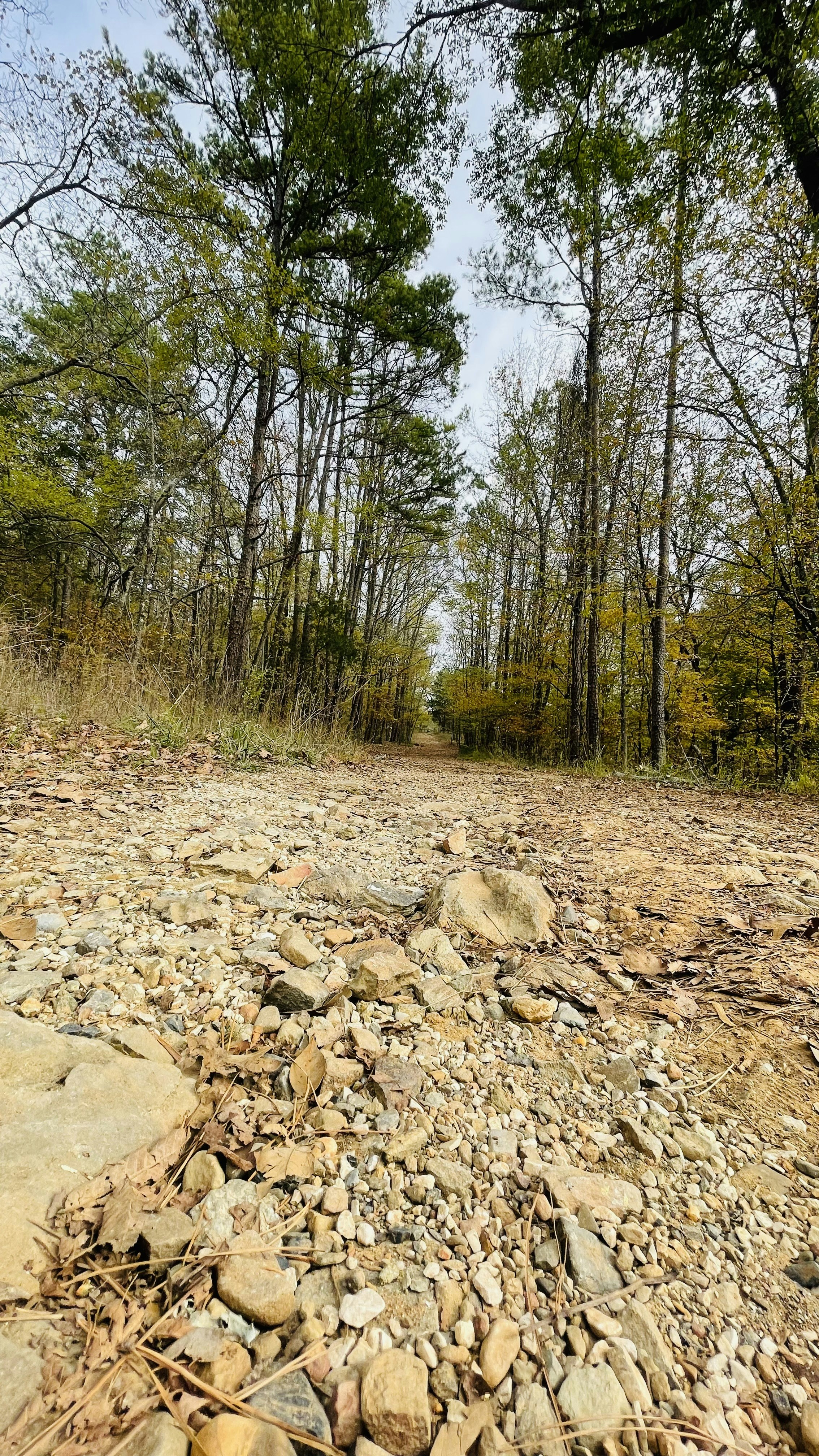 Zum Profil von Neel Prasad