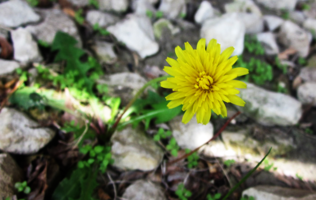 Go to John Immanuel's profile