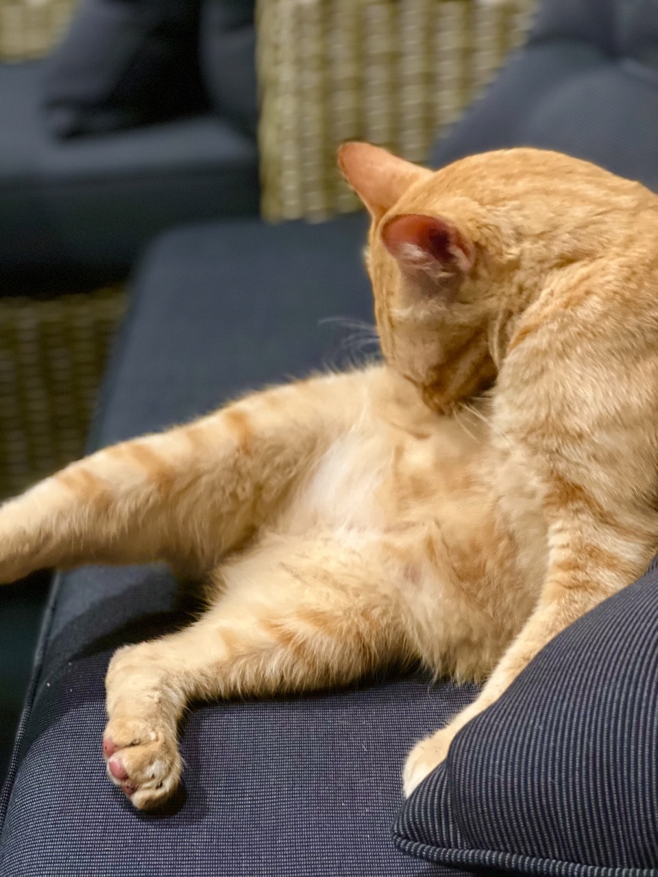 Go to Margo Kosh's profile