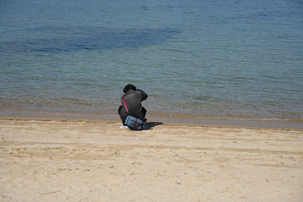 Go to WANG Tianfang's profile