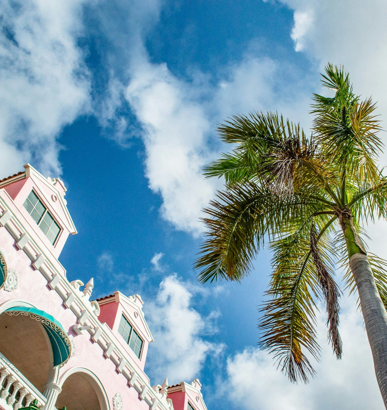 Go to Jamie Tudor's profile