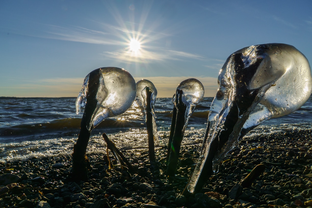 Go to Nunzio Guerrera's profile