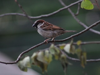 Go to Wyatte B's profile