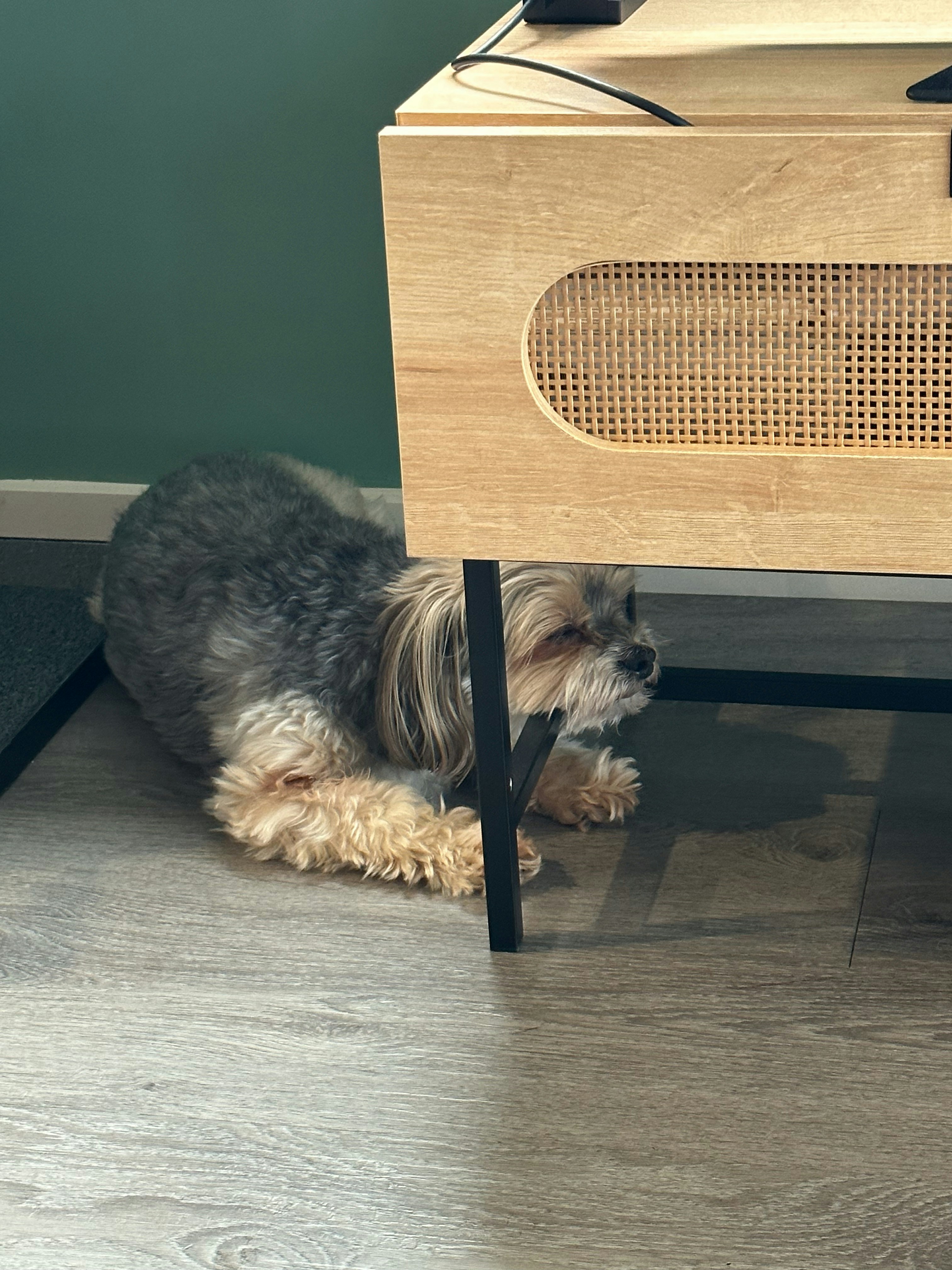 Go to Kathleen Banks's profile