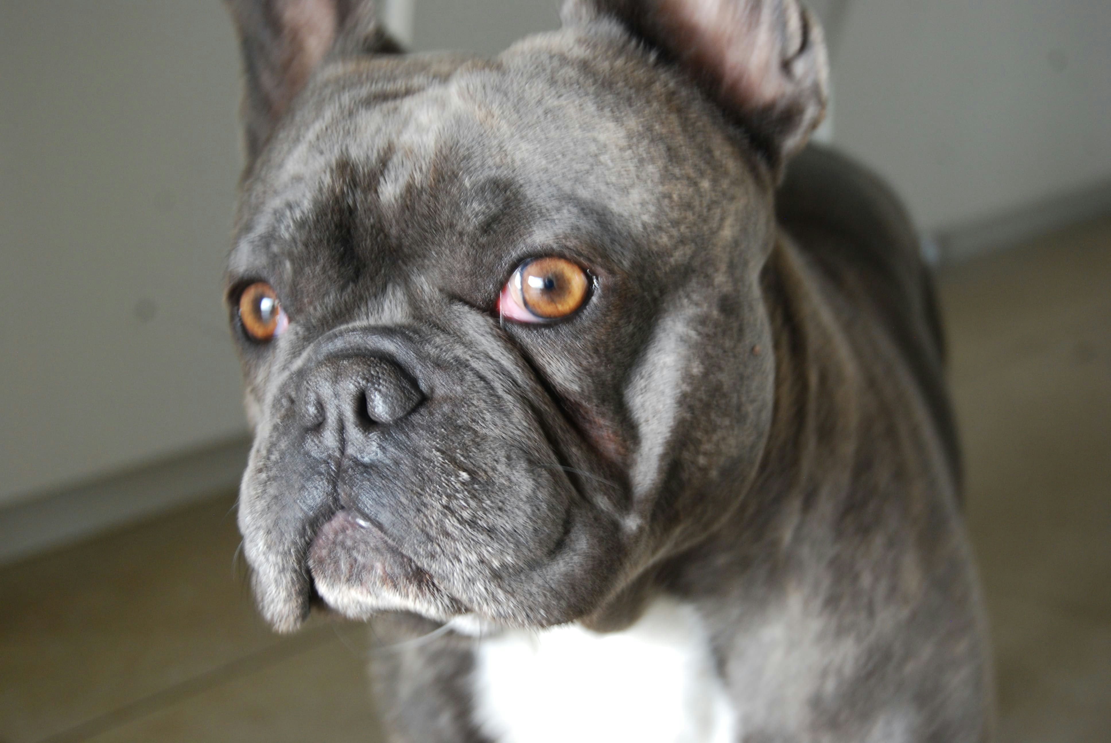 Avatar of user Enrico Posenato