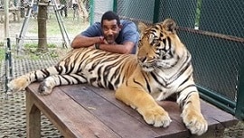 Go to Stephen Wiggins's profile