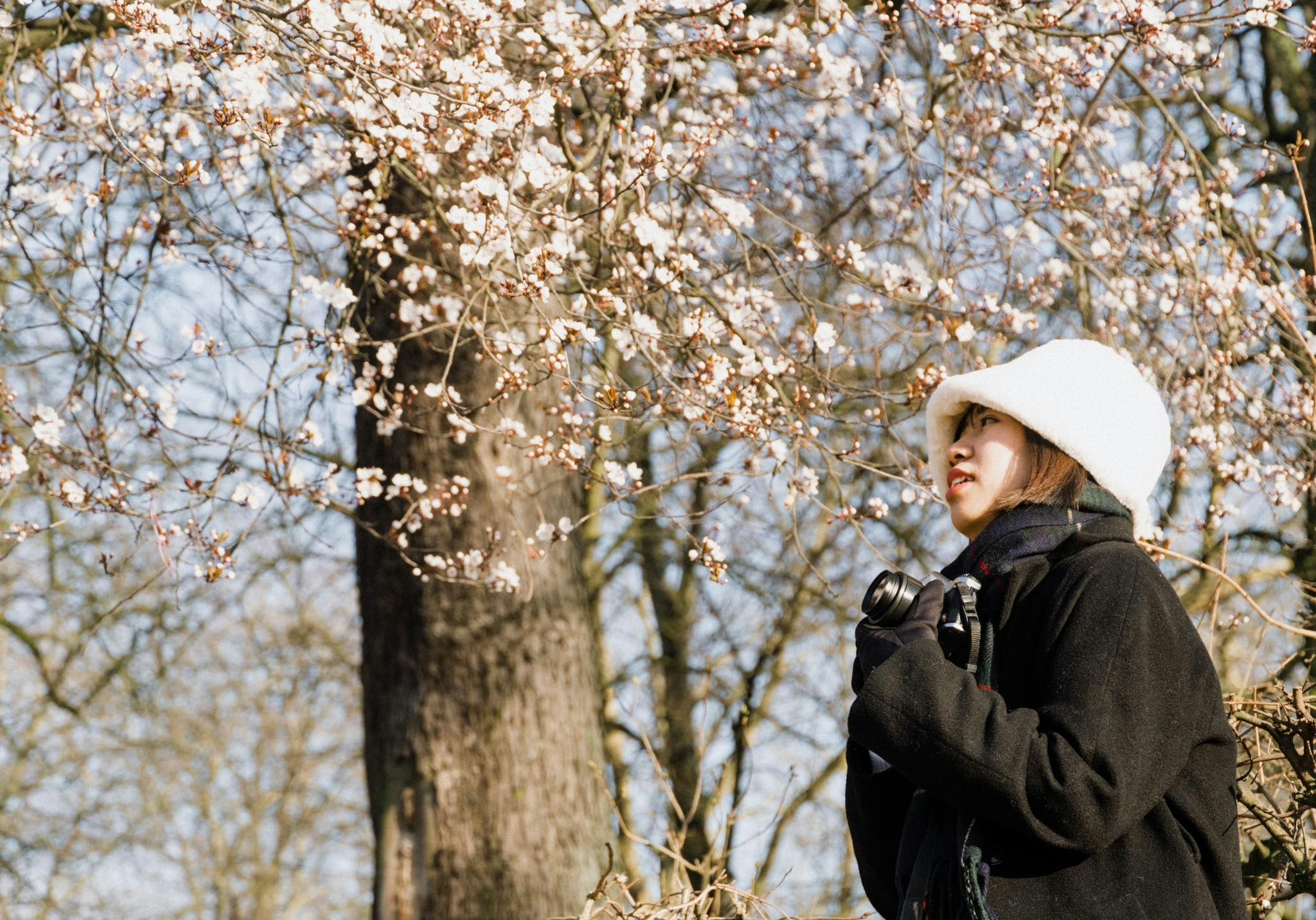 Go to Thu Anh Doan's profile