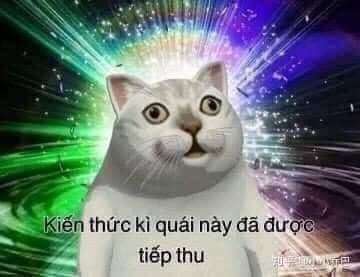 Avatar of user Nguyen Bui