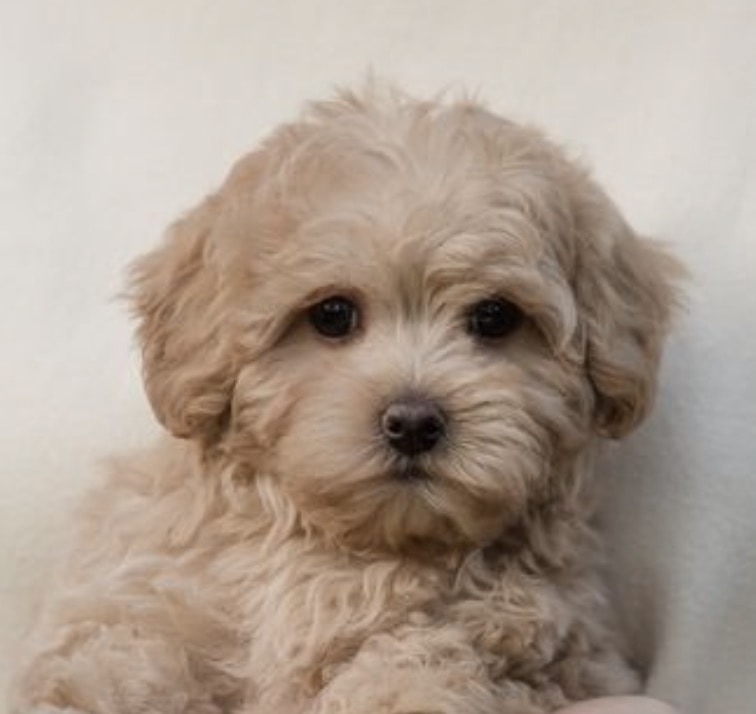 Go to 𝕄𝕒𝕣𝕚𝕟𝕖's profile