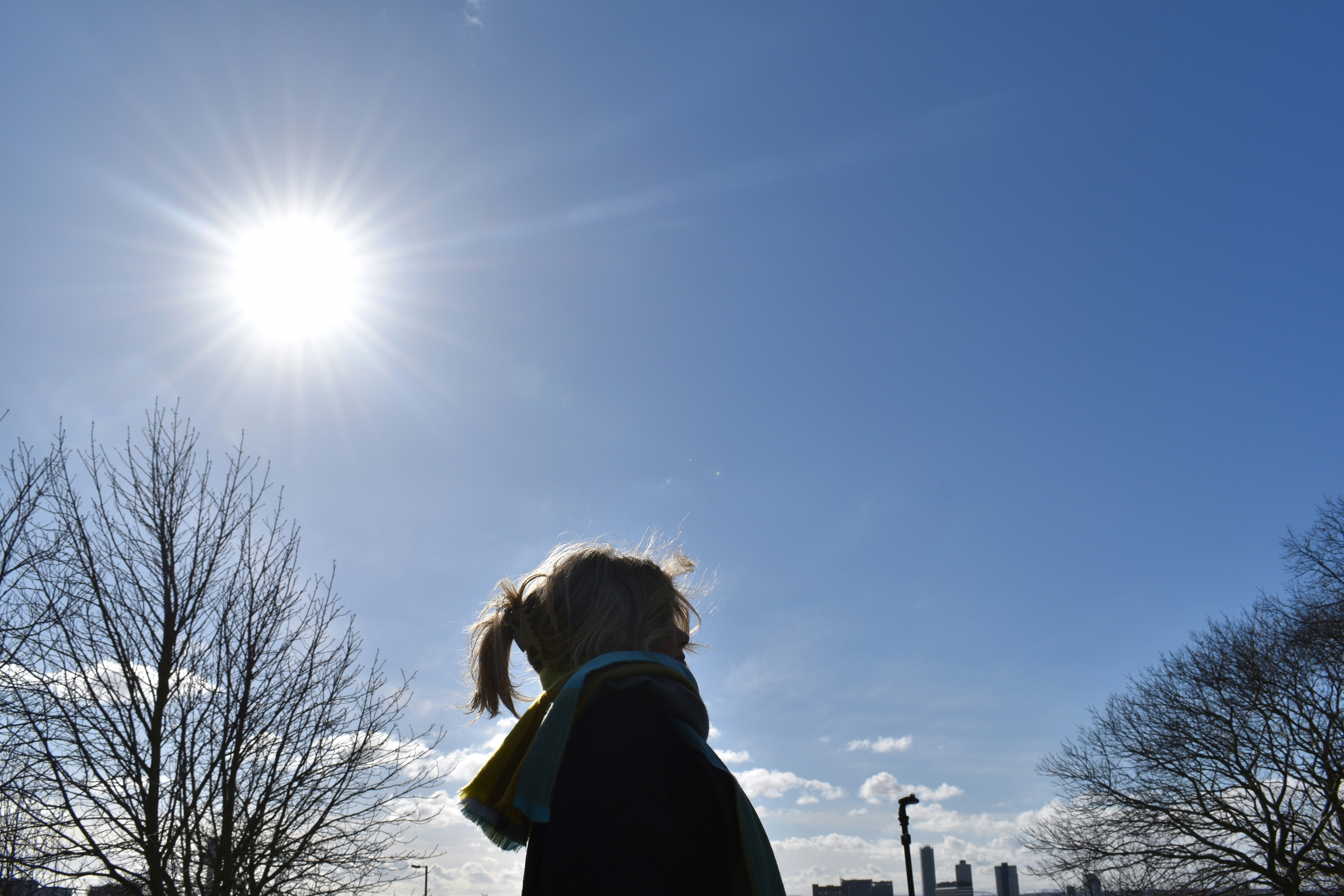 Go to Lea Riva's profile