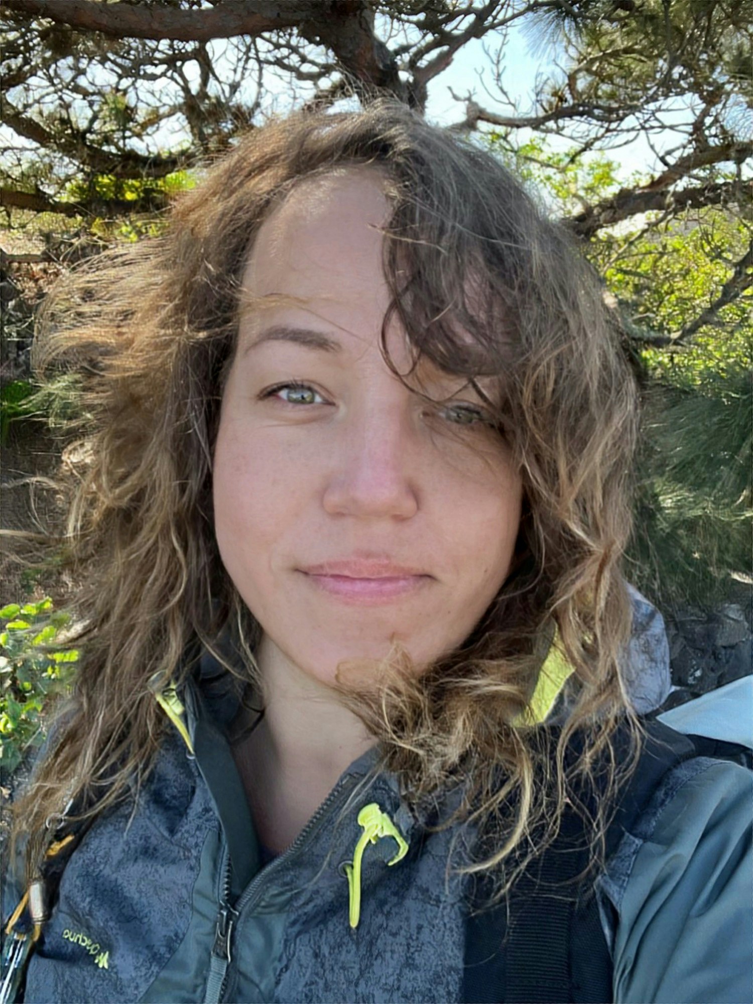 사용자 Annie Knitter의 아바타