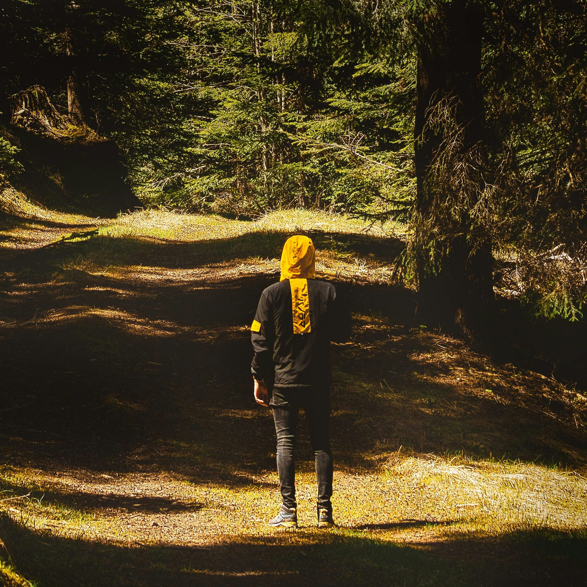 Go to Gaetan THURIN's profile