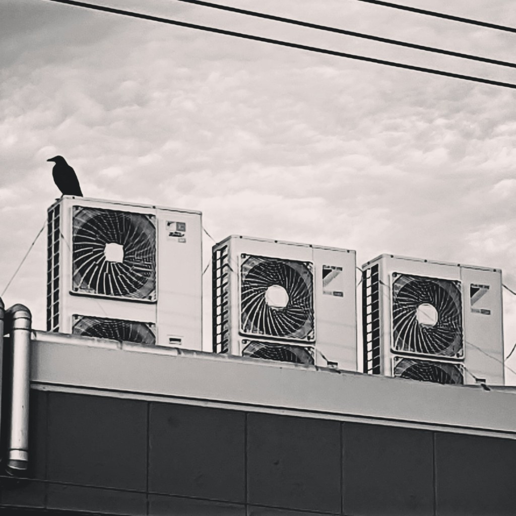 Go to Da-shika's profile