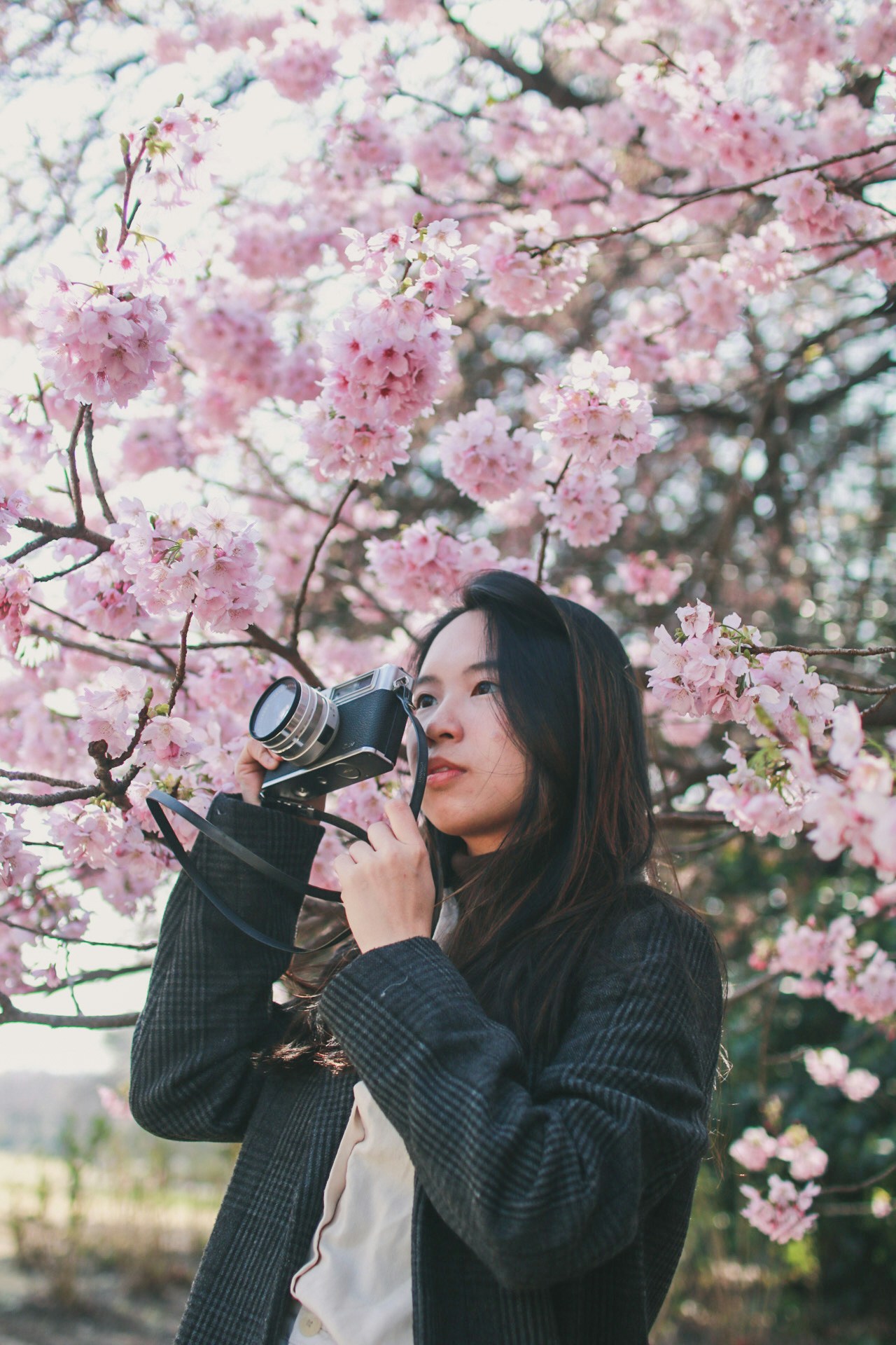 Go to Yin Yin Low's profile