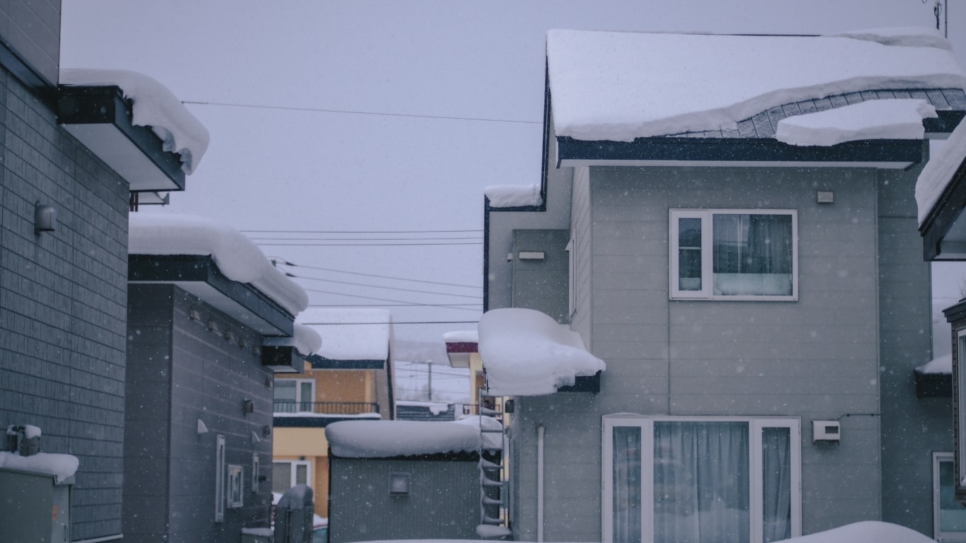 Go to Plainery n.'s profile