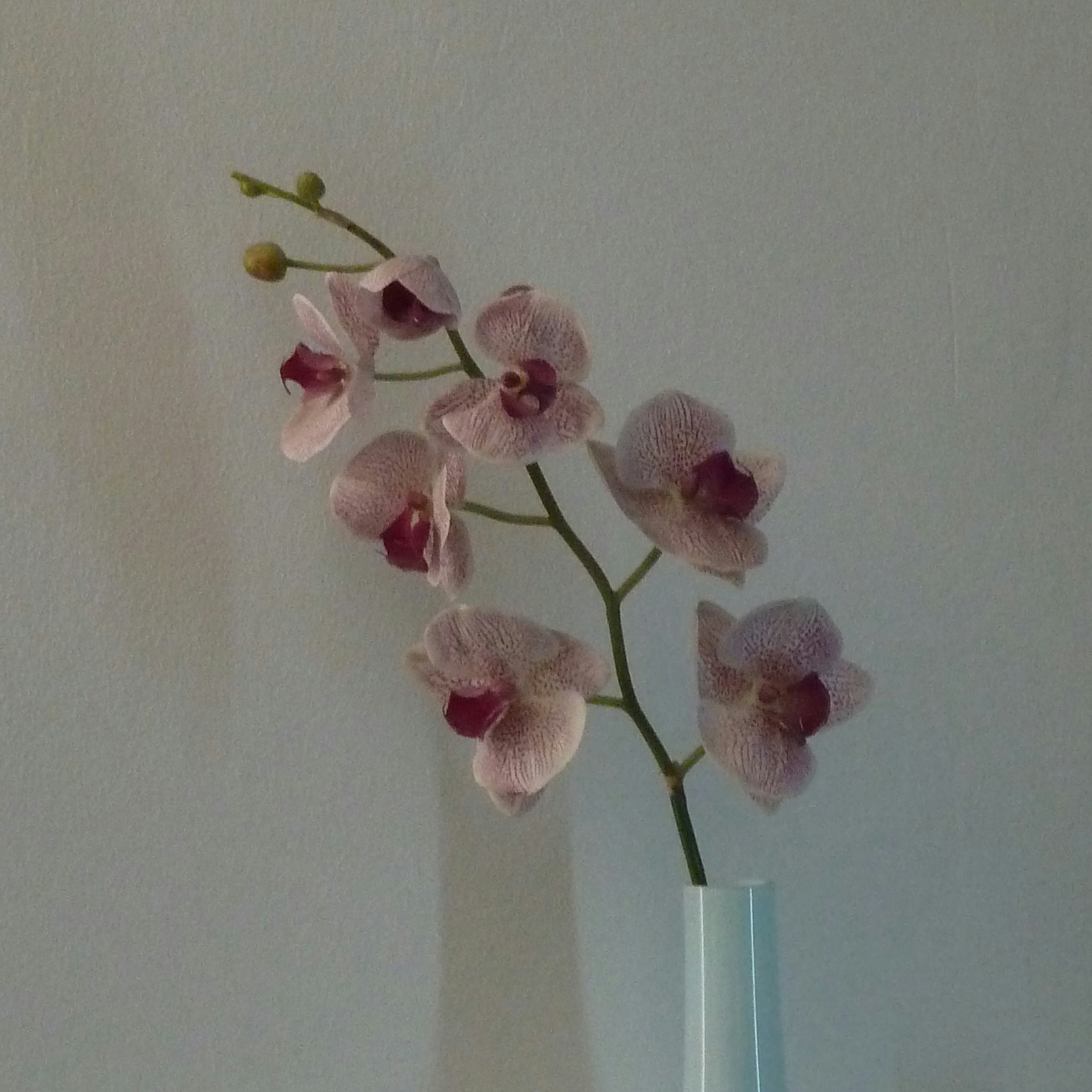 Go to Nolann's profile