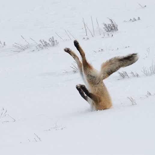 Go to Stella P's profile