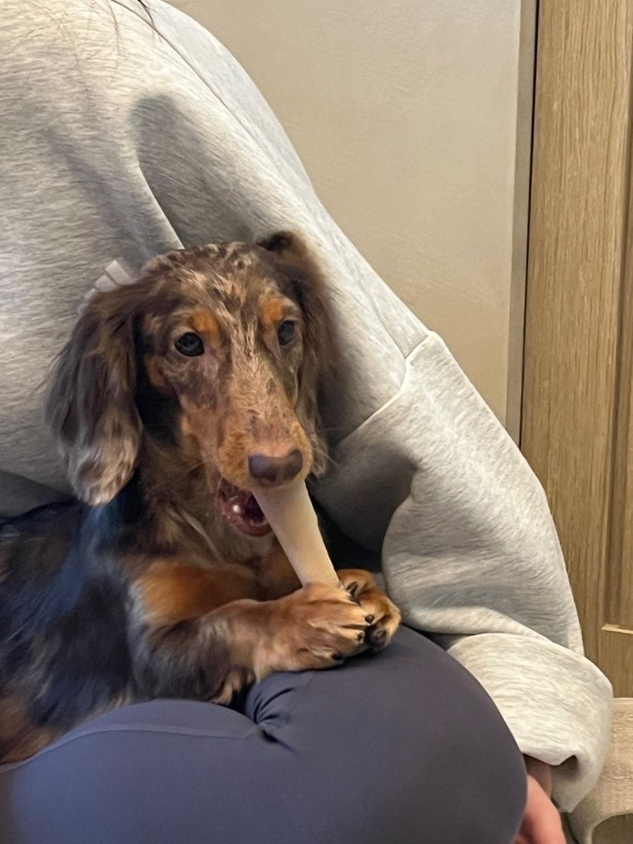 leandra sun의 프로필로 이동