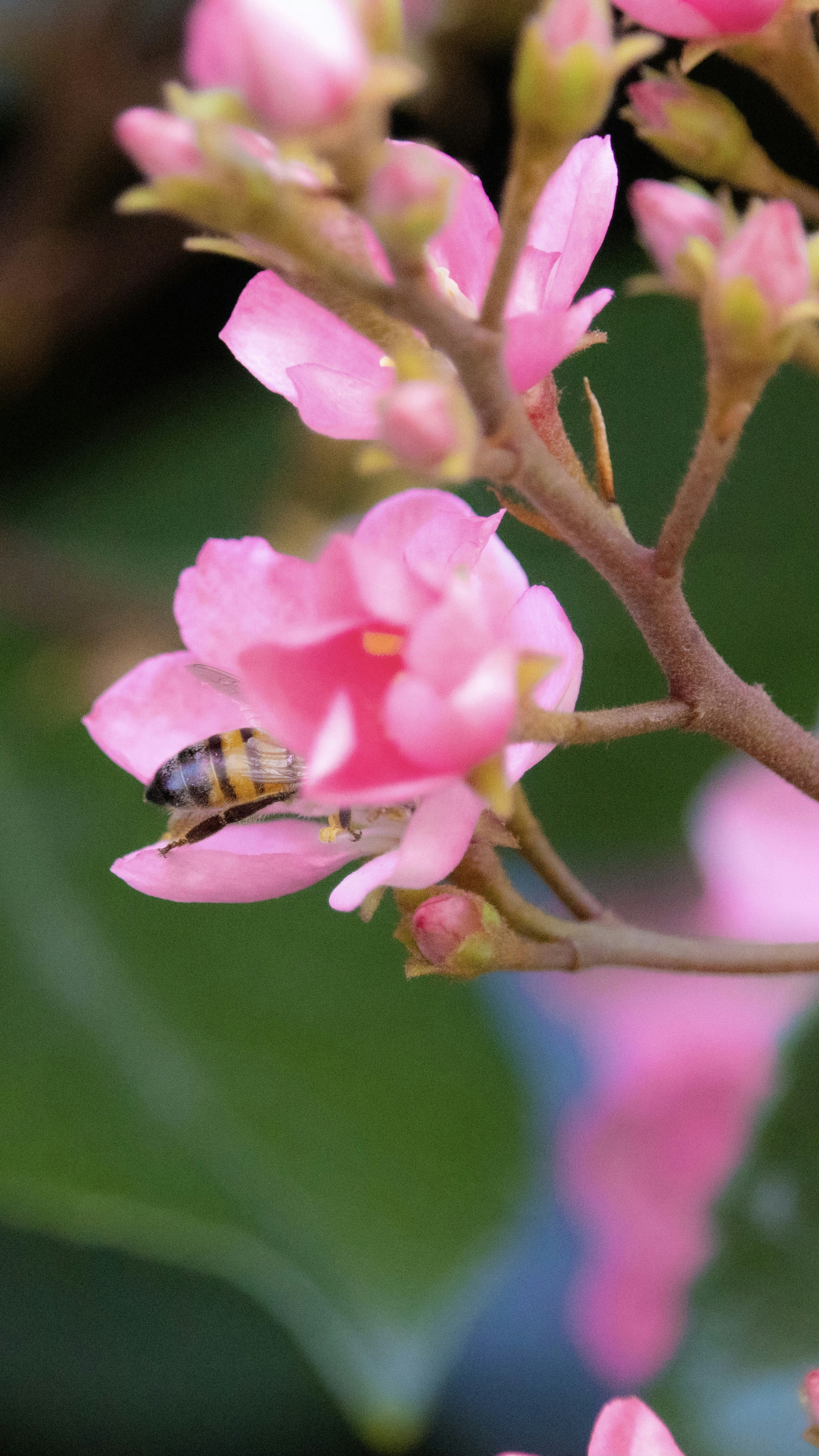 Go to Fuad Oba*'s profile