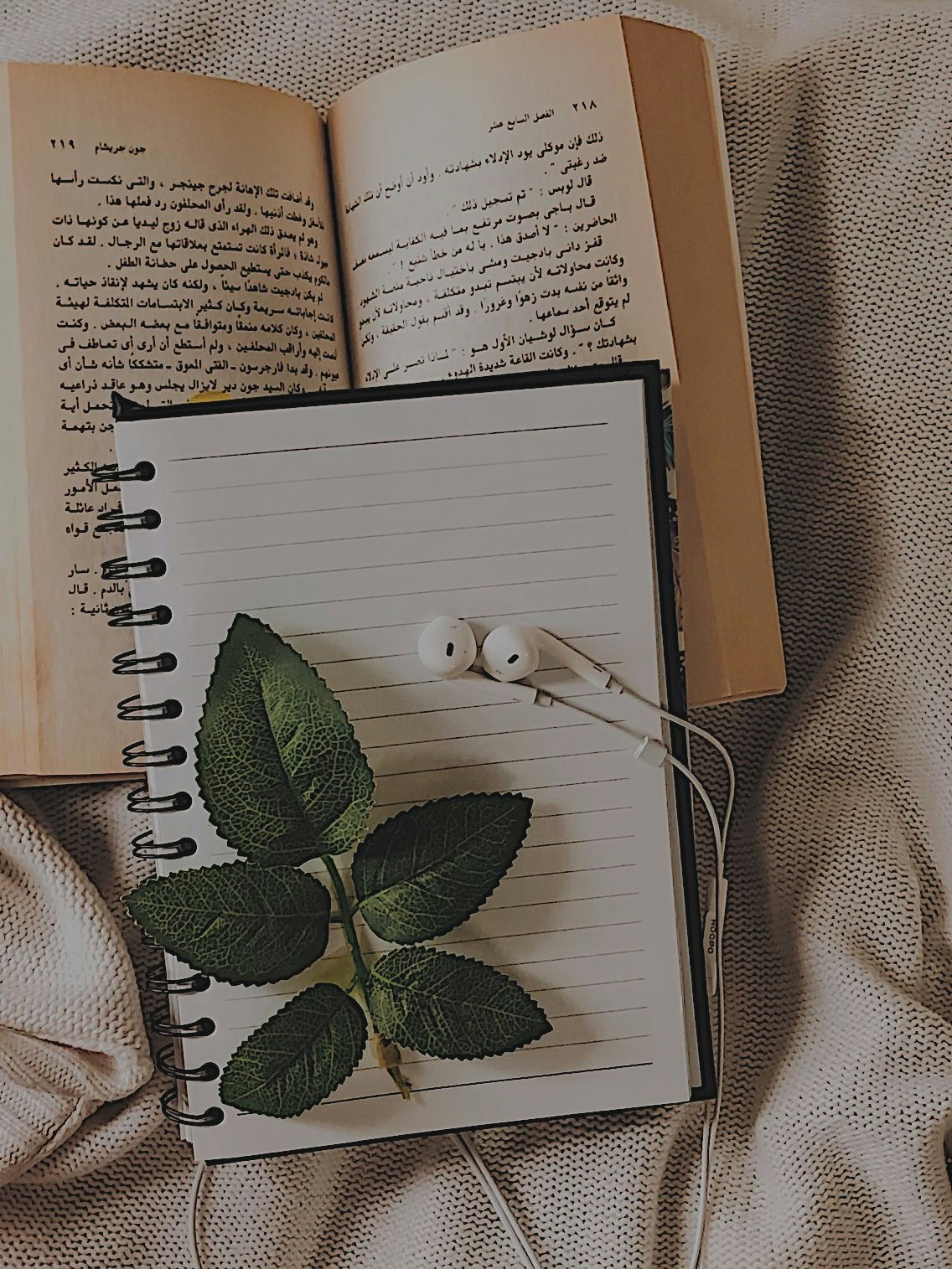 Go to ff cw's profile