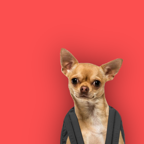 Zum Profil von CodeShady