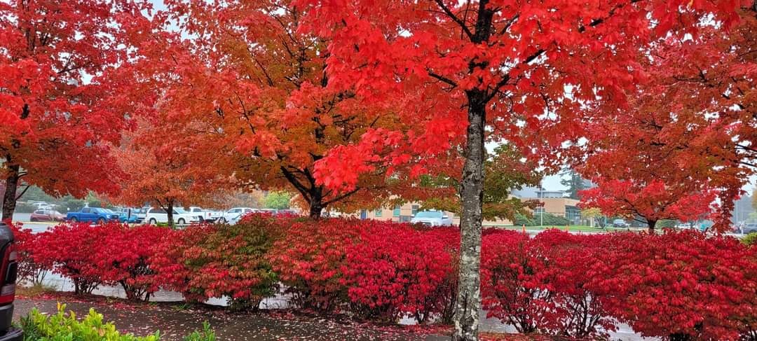 Go to Joan Gammie's profile