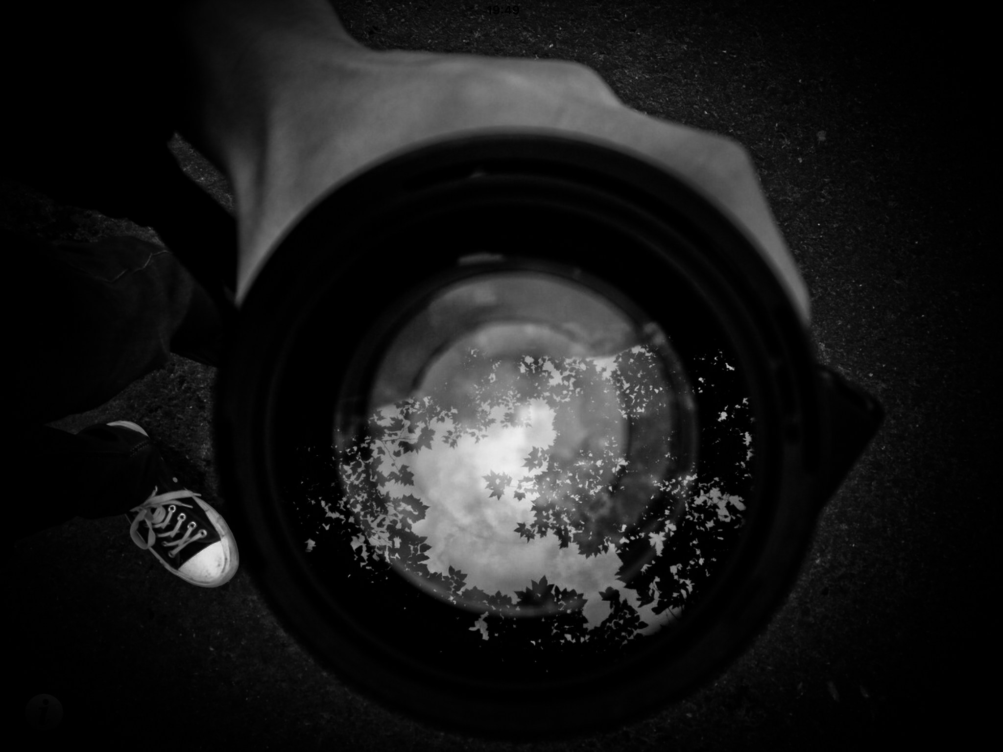 Unsplash profile picture for @lr