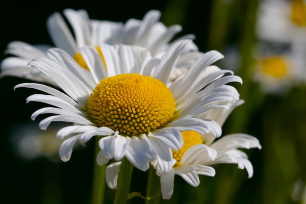 Go to Fazeel Ejaz's profile