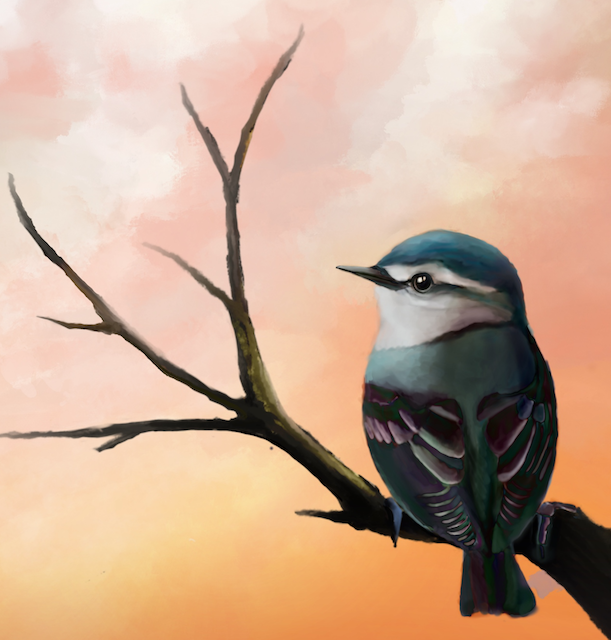 Go to Rebecca Dorr's profile