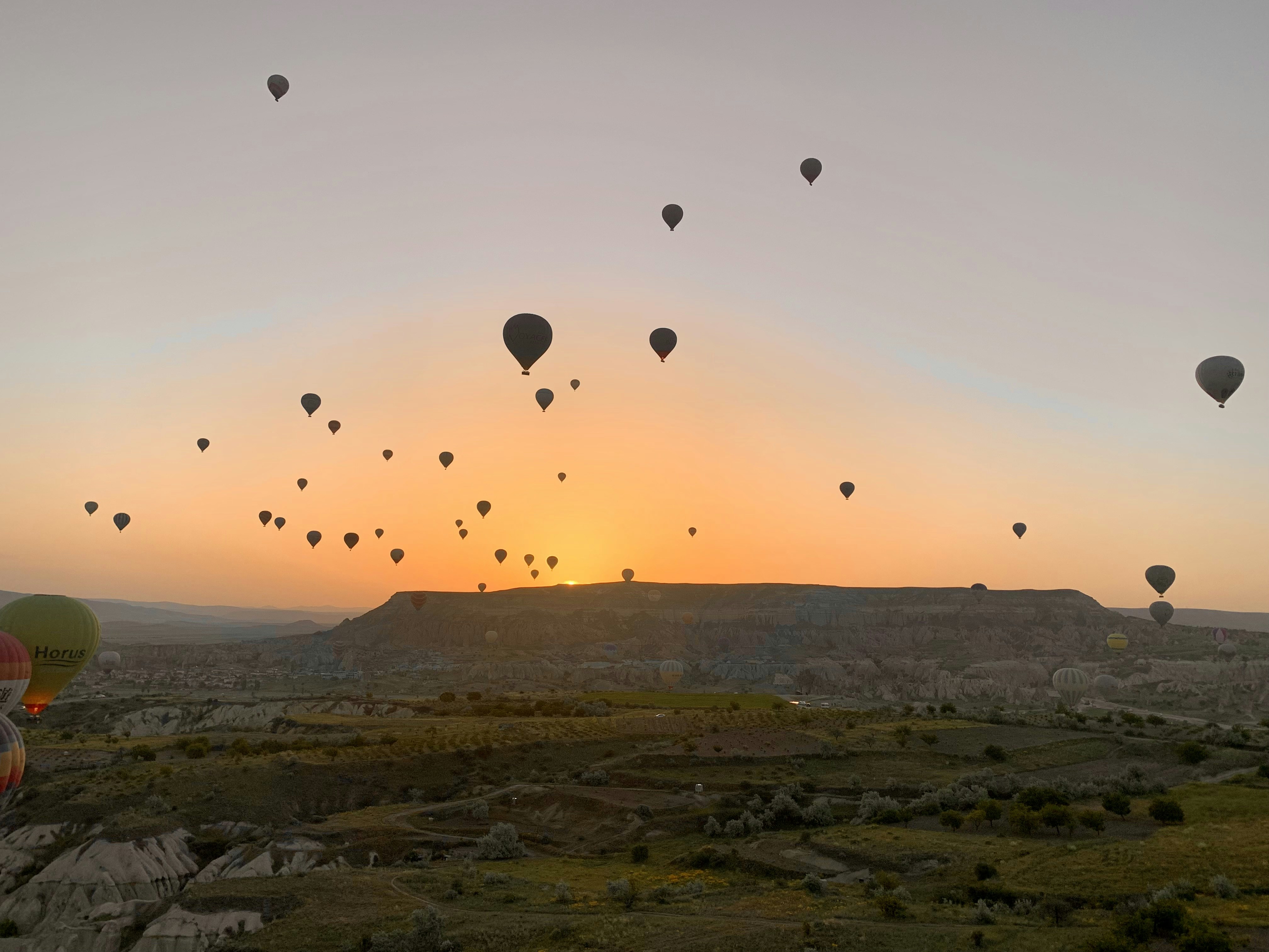 Go to Rahil Dogra's profile