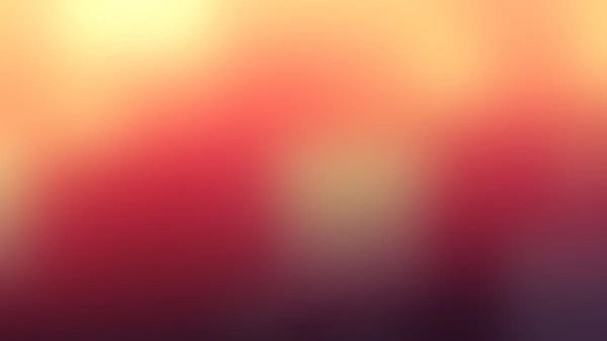 Ve al perfil de Dominic Wajda