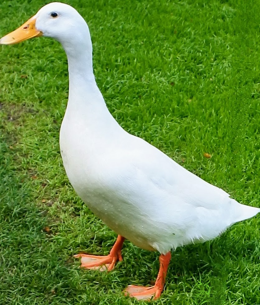 Zum Profil von Fish Eye