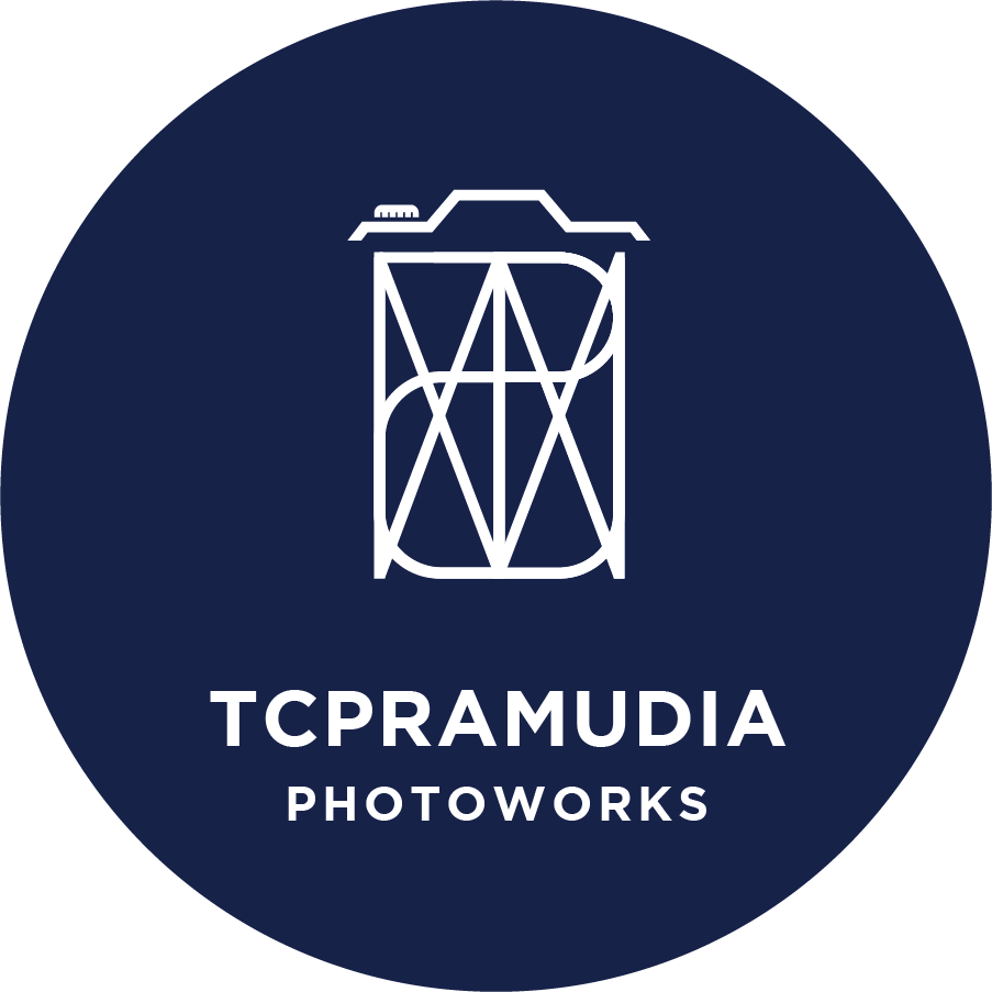 Go to TC Pramudia's profile