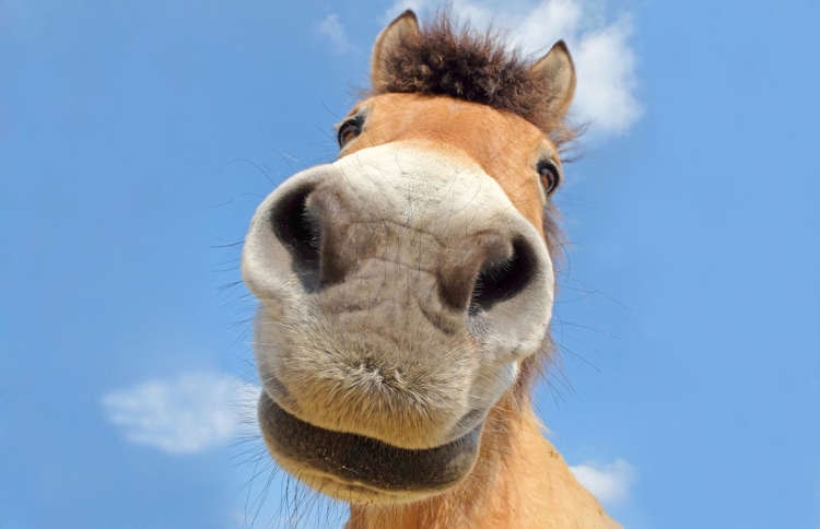 Go to kenny s's profile