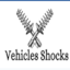 Avatar of user Vehicle shocks