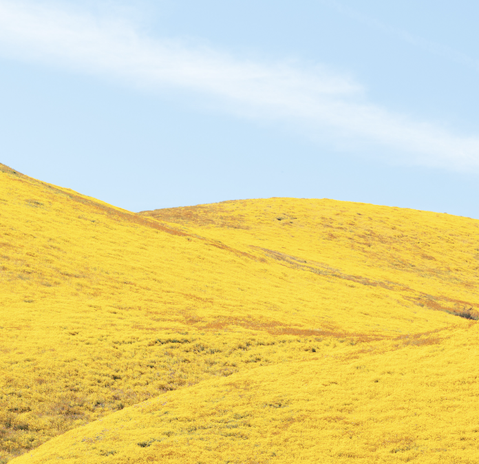 Go to Mason Field's profile