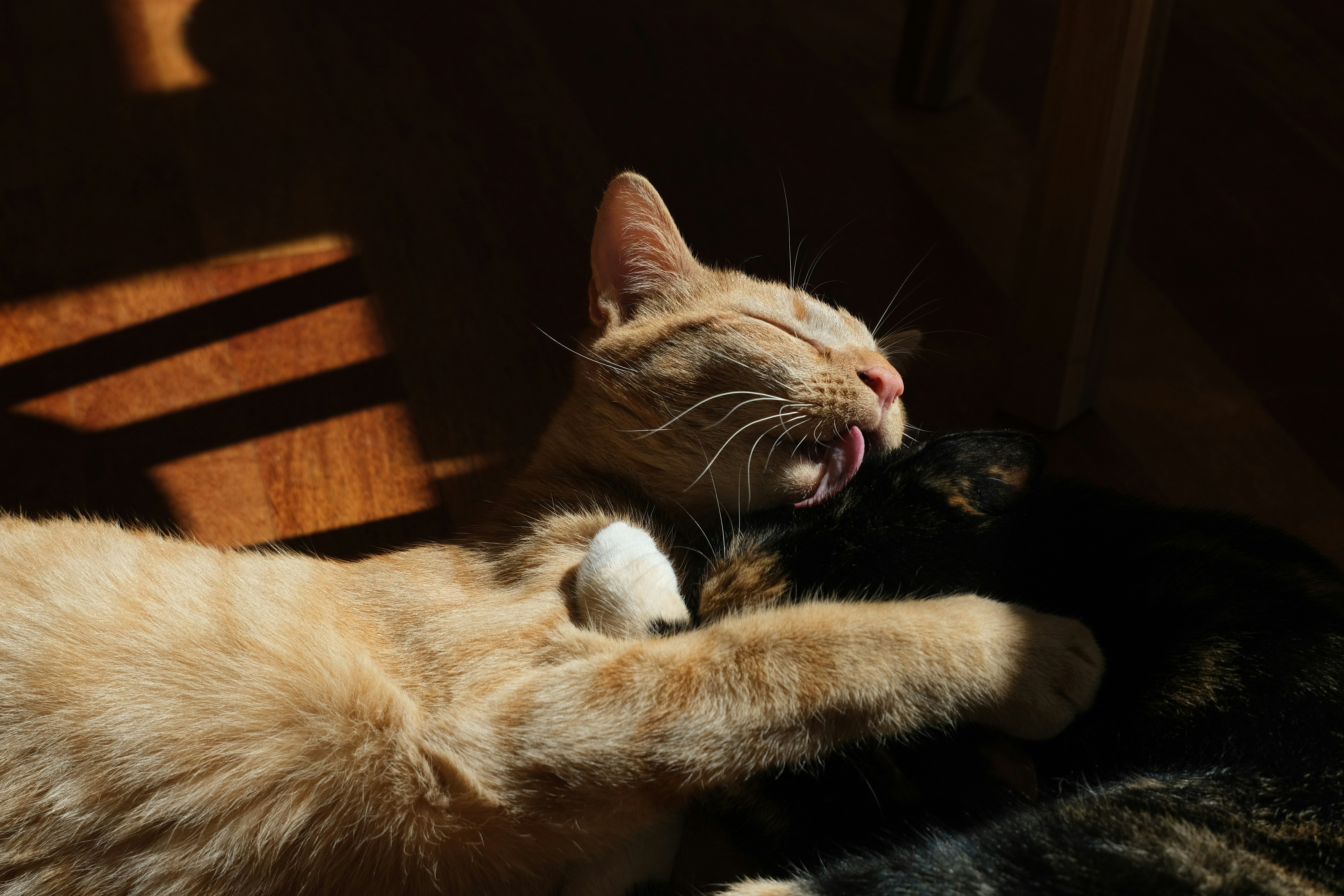 Zum Profil von Hoejin Iwai