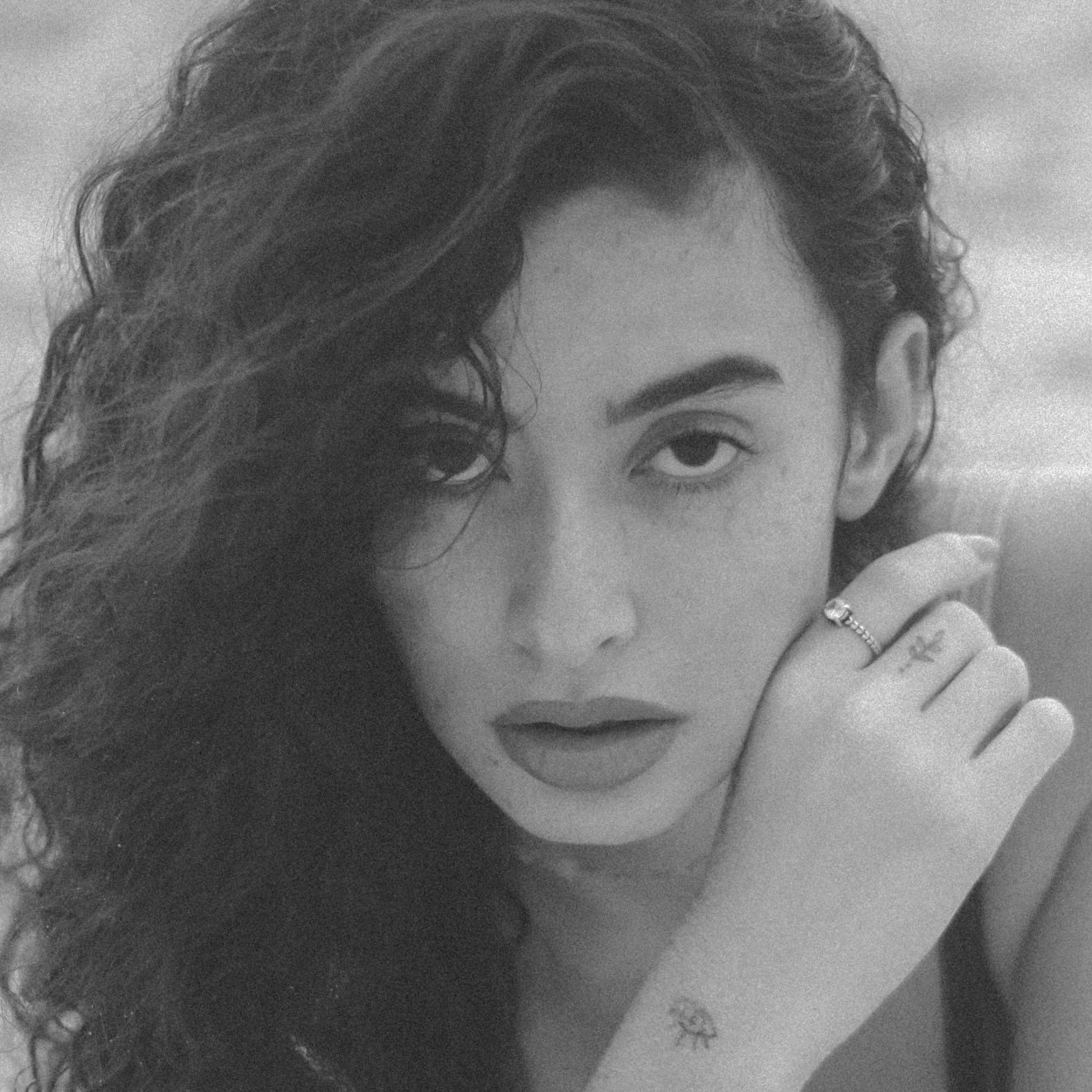 Ve al perfil de Cibelly Roberta